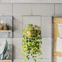 Aberto Design Parapet - Maceta decorativa dorada